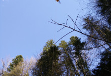 IMG_20150412_164410