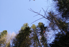 IMG_20150412_164417_1