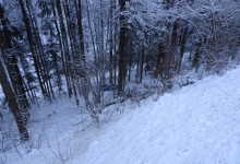 DSC00210