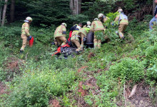 aaa