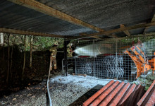 PXL_20240905_184835691