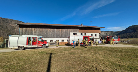 PXL_20250308_135130918