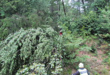 Sturm 005