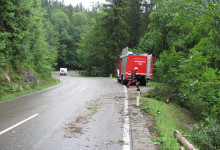 Sturm 011