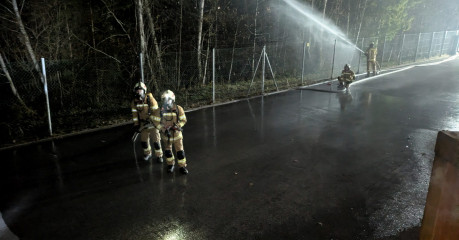 PXL_20251106_192518424