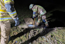 PXL_20260224_044029601