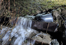 PXL_20260224_045432477