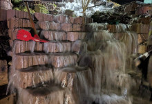 PXL_20260224_045449768